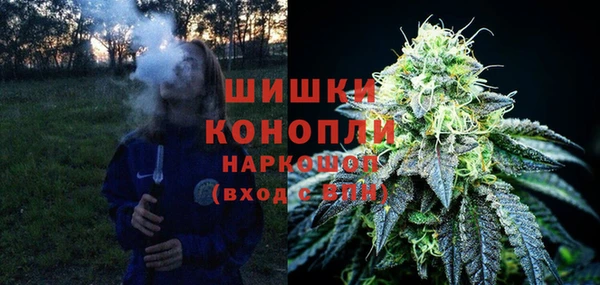 сатива Киренск