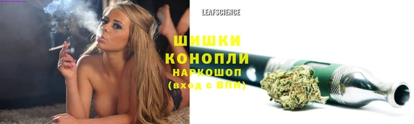сатива Киренск
