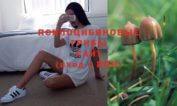 ешки Кинешма