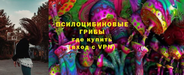 сатива Киренск
