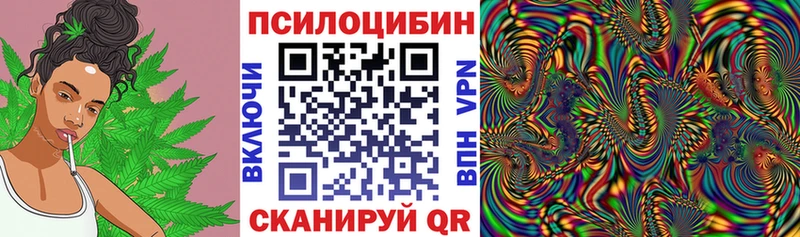 Купить где  Ревда  Галлюциногенные грибы мицелий 